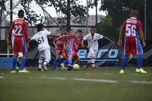 九游体育官网入口-中国足球青训成果展示会在多地举办，中国足球青训比赛